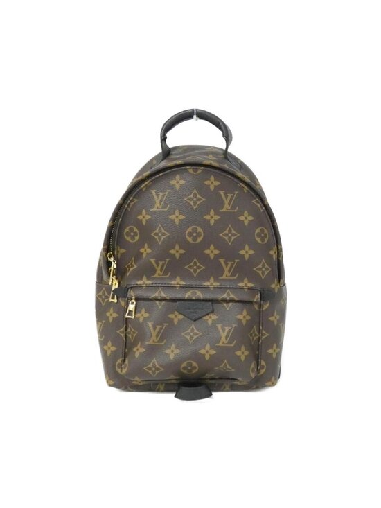 Louis Vuitton Monogram Palm Springs Backpack PM Rucksack main image 6